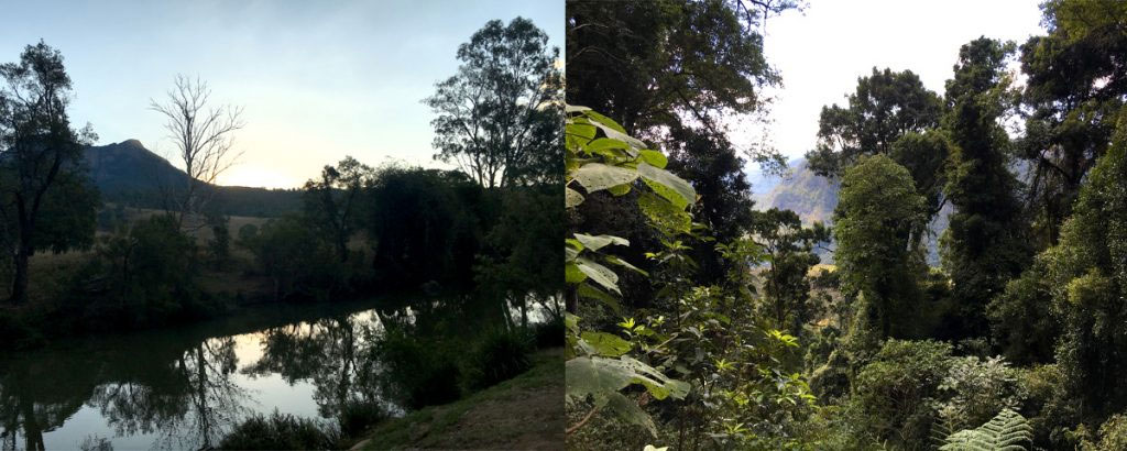 Photo of bushwaling options