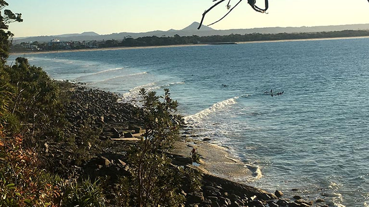 Today we are going to talk more about walking.  Yes, walking.  That movement you perform on a daily basis. Walking is very underestimated.